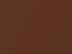 Buick All Models Russet Red Metallic 1969 3510, 85, WA3510