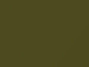 Toyota All Models Apple Green 1980 6C8