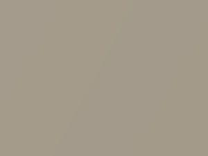 Nissan All Models Beige Metallic 1987 575 - Scratch Repair