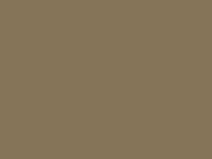 Toyota All Models Venus Gold Metallic 1969 1336