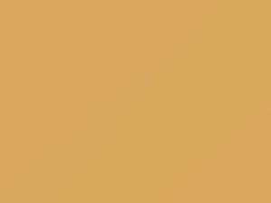 Mercury All Models Antique Cream 1979 62, M5531A - Scratch Repair