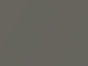 Jeep All Models Pewter Gray Metallic 1977 559, J1