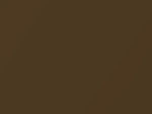 Chevrolet All Models Dark Sandstone Metallic 1975 4648, 58, WA4648 - Scratch Repair