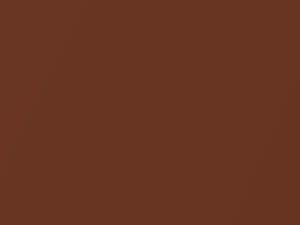 Lincoln All Models Russet Metallic 1965 M1921A, V