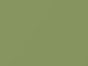 Ford All Models Willow Green 1957 J, M30J747