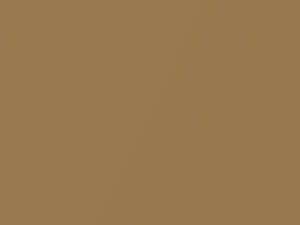 Capri All Models Amber Gold Metallic 1970 7