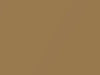 Capri All Models Amber Gold Metallic 1970 7
