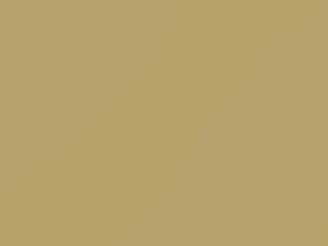 Ford All Models Inca Gold 1957 M30J641, Y