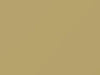 Ford All Models Inca Gold 1957 M30J641, Y