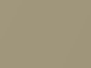 Jeep All Models Gold Beige Metallic 1966 393