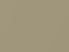 Jeep All Models Gold Beige Metallic 1966 393