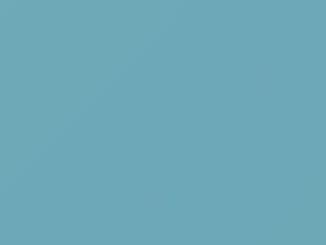 Ford All Models Skylight Blue 1964 M1623A, Y