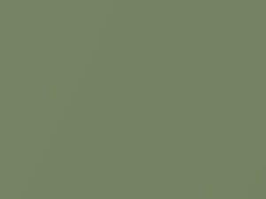Toyota All Models Altair Green Metallic 1972 601