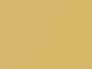 Plymouth All Models Sunlight Yellow 1981 AY69VY2, VY2