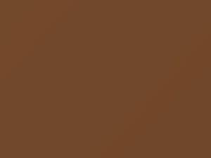 Chevrolet All Models Tan 1973 4279, 555, WA4279 - Scratch Repair