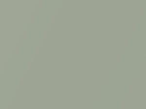 Mercury All Models Pastel Pine Metallic 1981 4E, M5668A - Scratch Repair