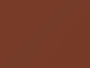 Porsche All Models Caramel Brown 1982 L524
