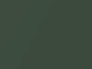 AMC All Models Dark Green Metallic 1975 G3 - Scratch Repair