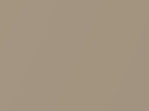 Toyota All Models Beige Metallic 1984 494