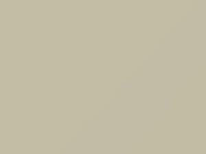 Dodge Dakota White 1985 AY93DW2, DT1639, DW2, PW2 - Scratch Repair