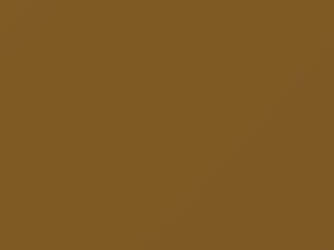 Toyota All Models Gold/Mustard Yellow 1972 511