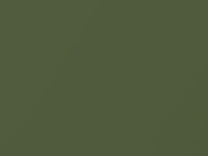 Dodge All Models Medium Green Metallic 1969 AY2EF5, DT7561, F5 - Scratch Repair