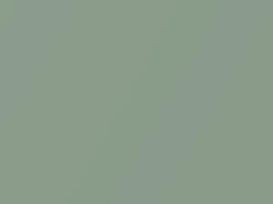 Honda All Models Sable Green Metallic 1981 BG12M
