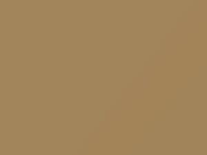 Chevrolet All Models Medium Beige 1980 61, 8030, WA8030 - Scratch Repair