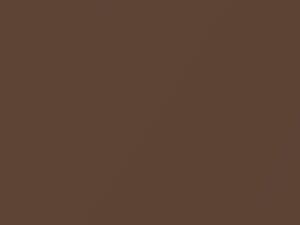 Ford All Models Dark Fawn Metallic 1982 82, M5810A