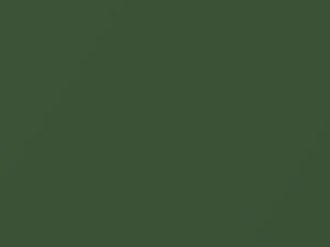 AMC All Models Polo Green Metallic 1967 P59A