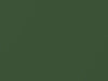 AMC All Models Polo Green Metallic 1967 P59A