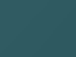 Fiat All Models Medium Blue 1973 454