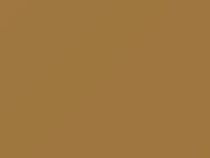 Dodge All Models Light Gold 1973 AY69JY3, Y3