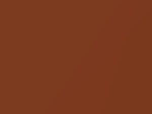 Datsun All Models Copper Bronze Metallic 1978 670
