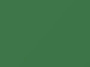 Mercury All Models Lexington Green 1957 81, M25J720 - Scratch Repair