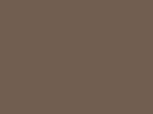 Volvo All Models Brown Metallic 1985 205
