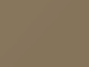 Fiat All Models Beige 1981 822 - Scratch Repair