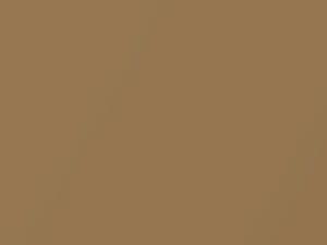 Oldsmobile All Models Nugget Gold Metallic 1969 4035, 53, WA4035 - Scratch Repair