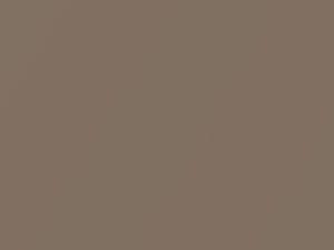 Cadillac All Models Desert Sand F/M Metallic 1981 7125, 91, WA7125