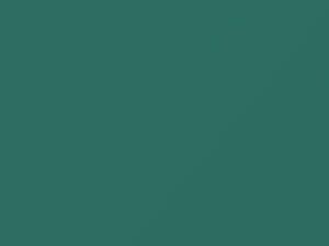Ford All Models Lunar Green 1995 D5, J7, M2097A