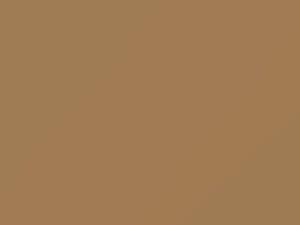 Isuzu All Models Light Mojave Beige 1983 2154P1