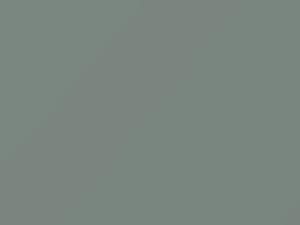 Dodge All Models Stone Gray 1957 C5139E - Scratch Repair