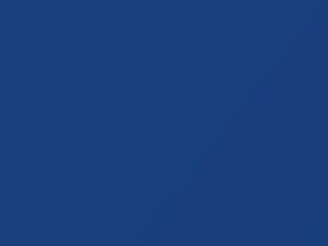 Nissan All Models True Blue 1978 103 - Scratch Repair