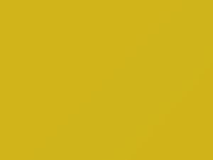 Honda All Models Lettuce Yellow 1980 Y40
