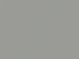 Chrysler All Models Pewter Gray Metallic 1979 A2, AY70RA2
