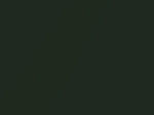 Plymouth All Models Dark Green Metallic 1965 G, VAY2F9