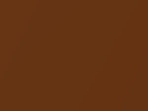 Ford All Models Cinnamon Glow Metallic/Dark Nectarine Metallic 1978 8U, M5506A
