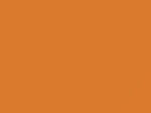 Nissan All Models Orange 1982 129