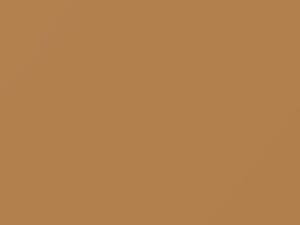 Porsche All Models Mexico Beige 1980 LE1M