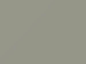 Ford All Models Platinum Gray 1956 H, M20J532